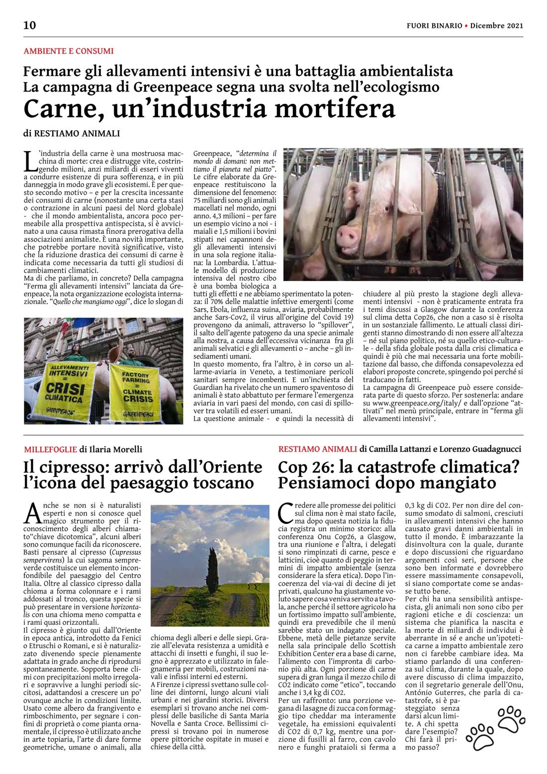 Pagina 10 del numero 235