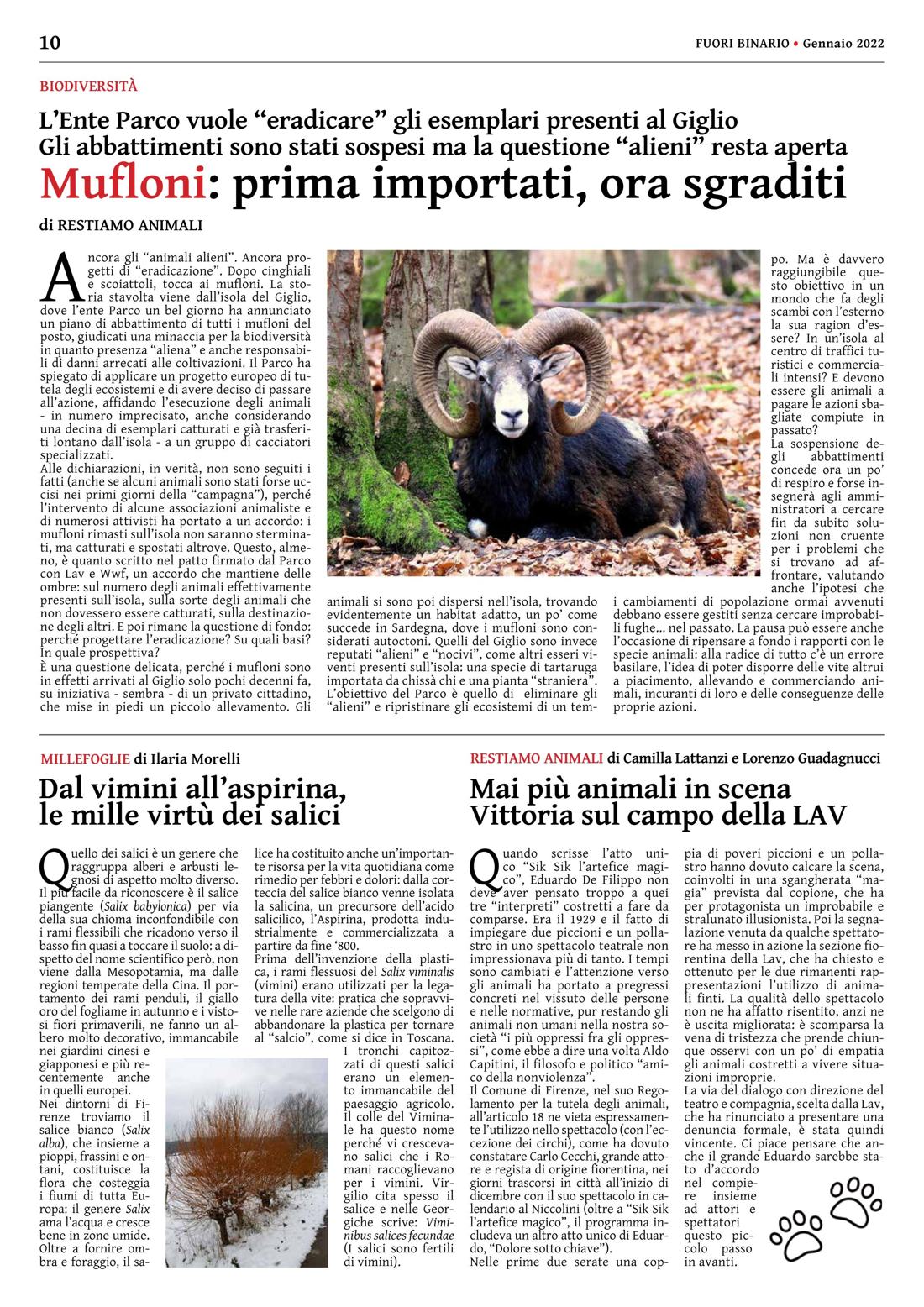 Pagina 10 del numero 236