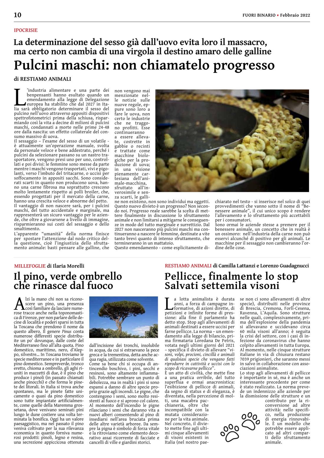 Pagina 10 del numero 237