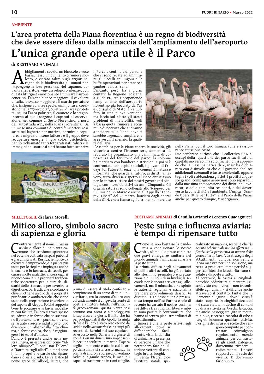 Pagina 10 del numero 238