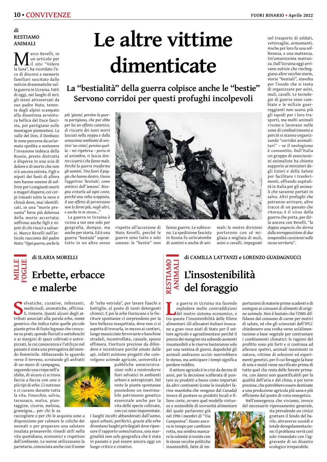 Pagina 10 del numero 239