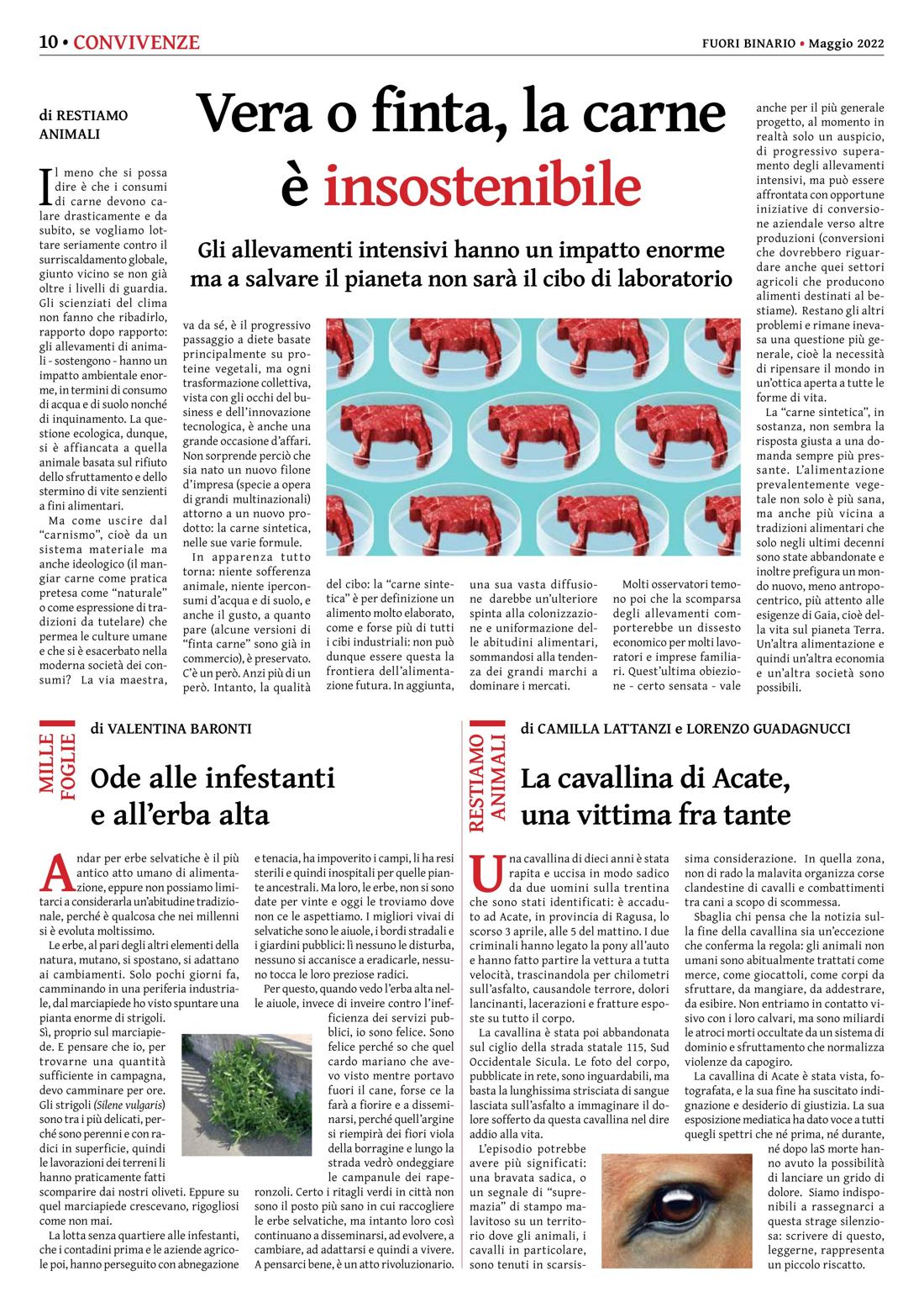 Pagina 10 del numero 240