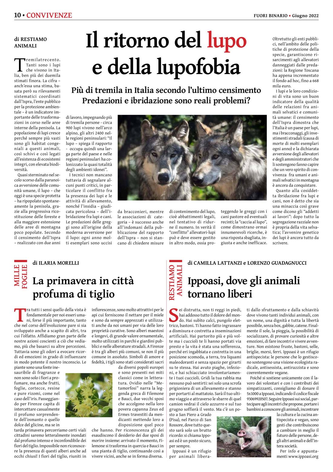 Pagina 10 del numero 241