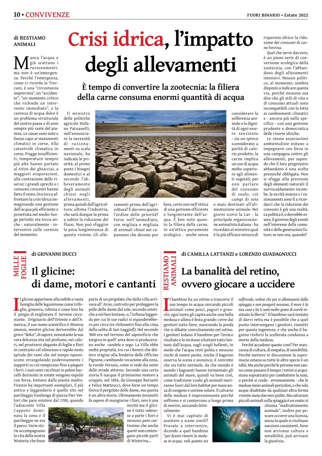 Pagina 10 del numero 242