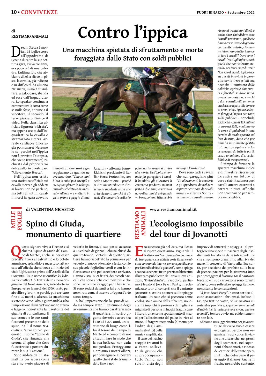 Pagina 10 del numero 243
