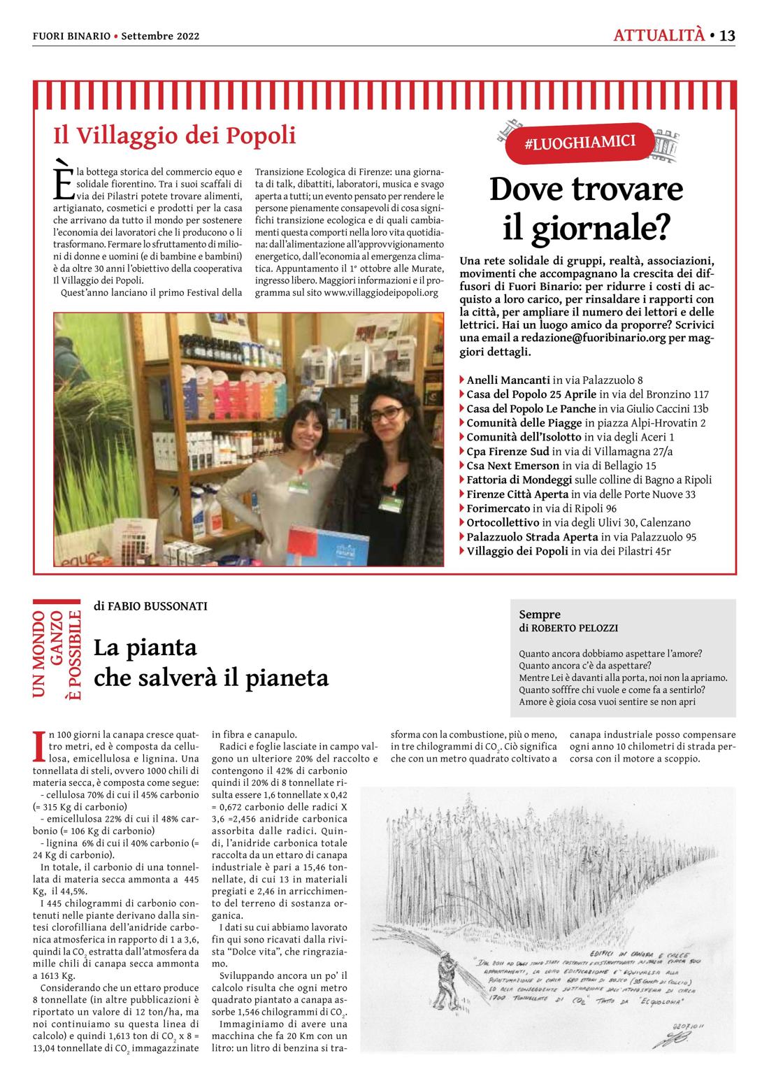 Pagina 13 del numero 243