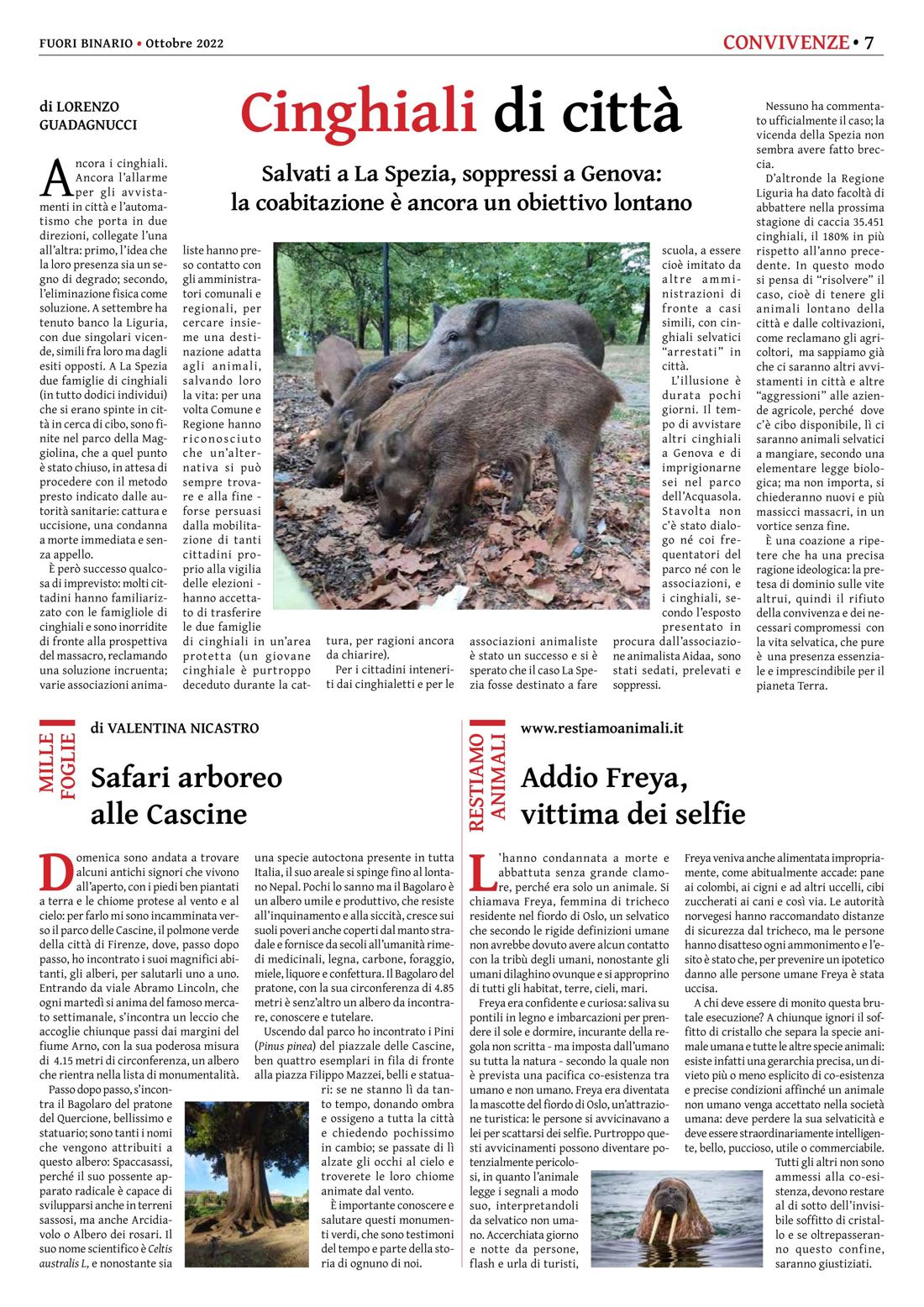 Pagina 7 del numero 244