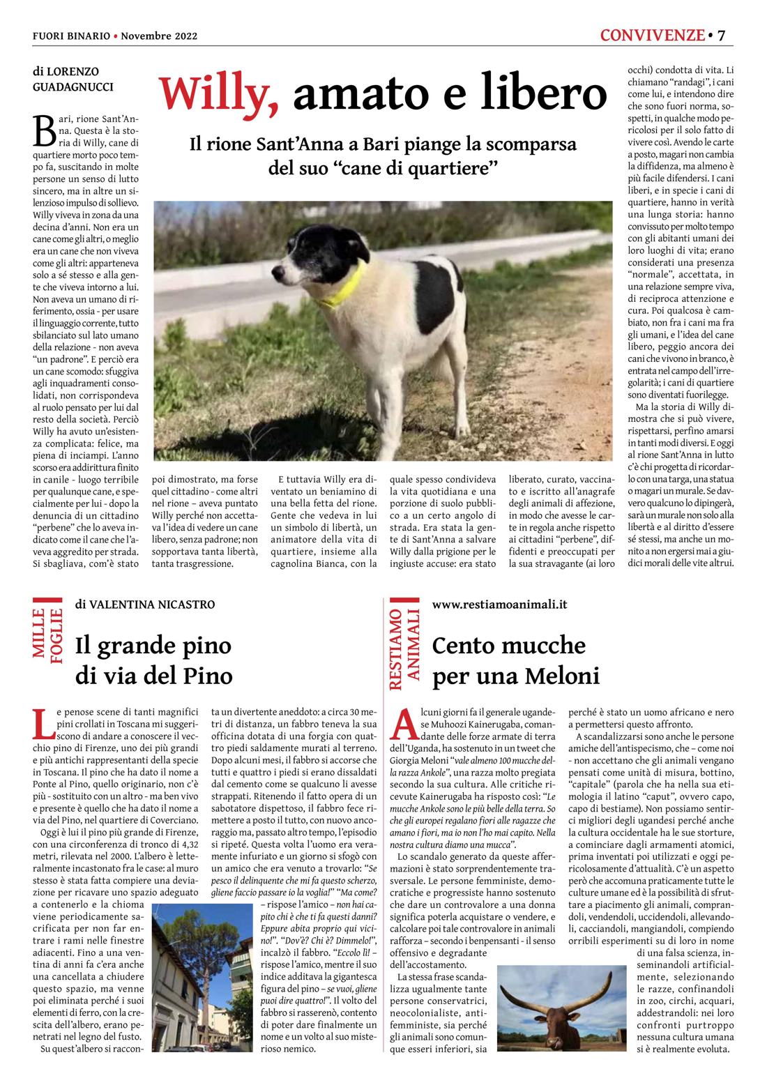 Pagina 7 del numero 245