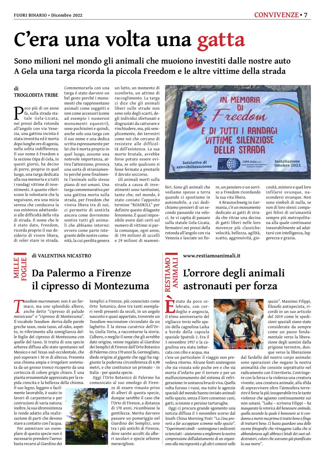 Pagina 7 del numero 246