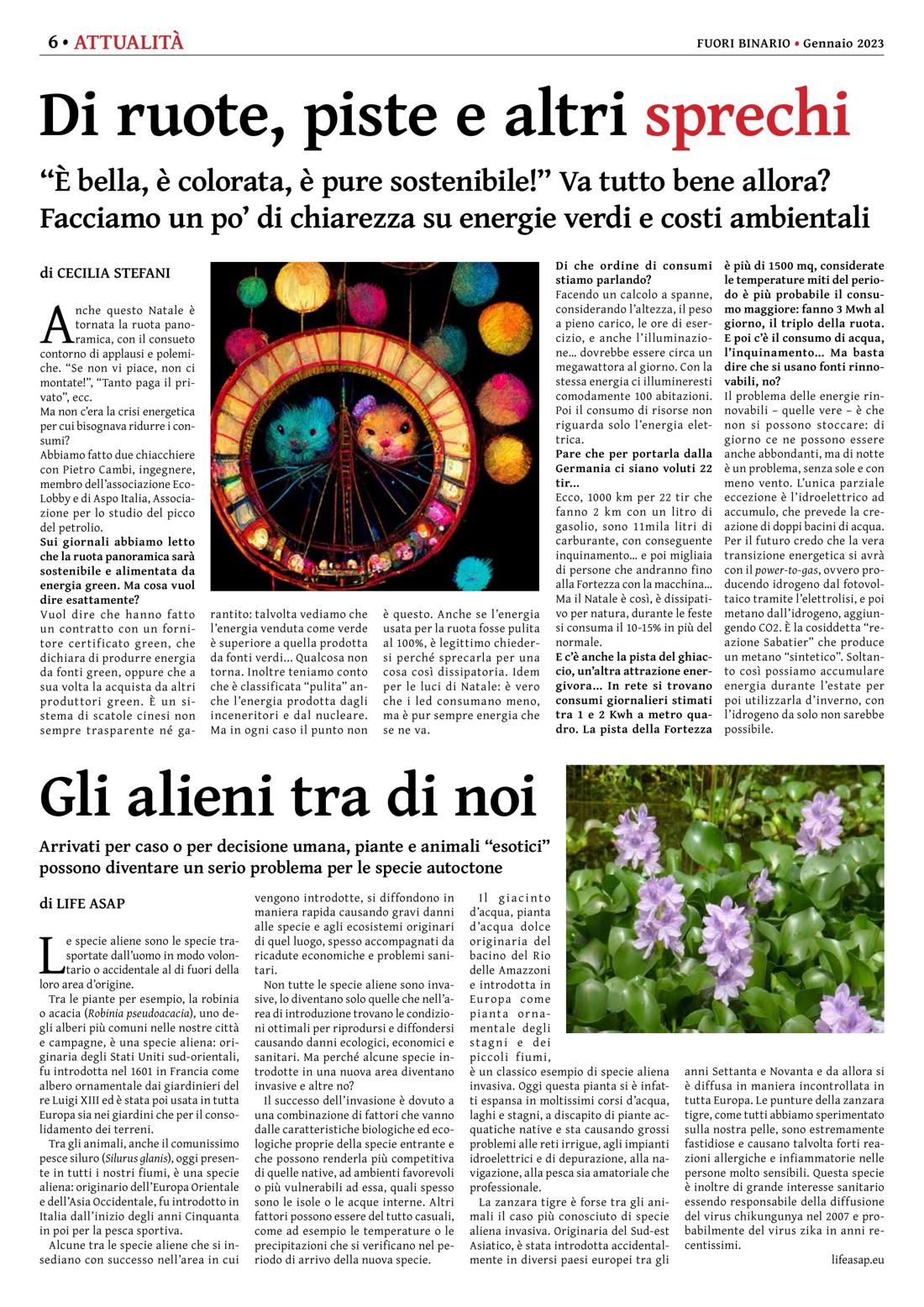 Pagina 6 del numero 247