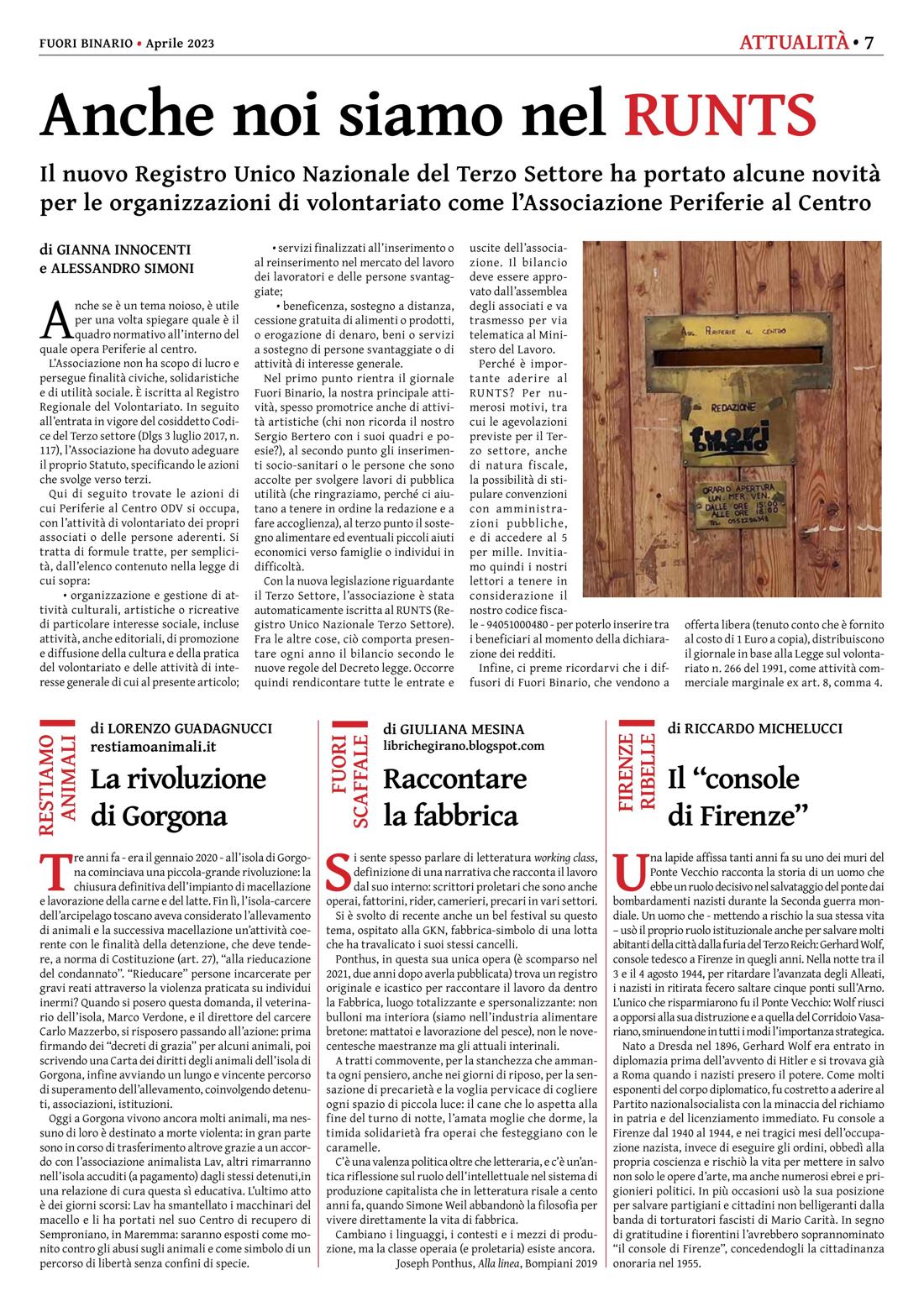 Pagina 7 del numero 250