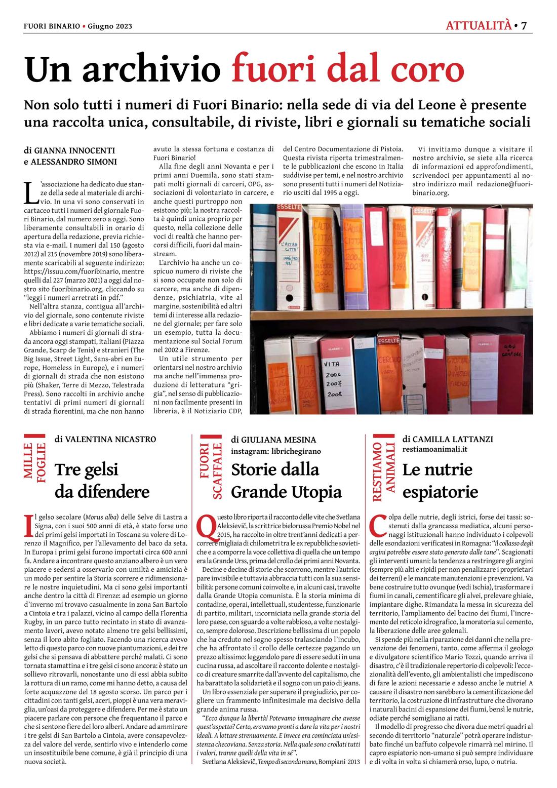 Pagina 7 del numero 252
