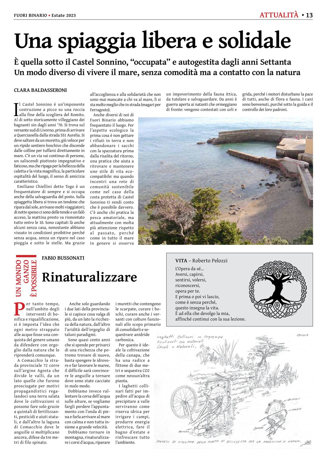 Pagina 13 del numero 253