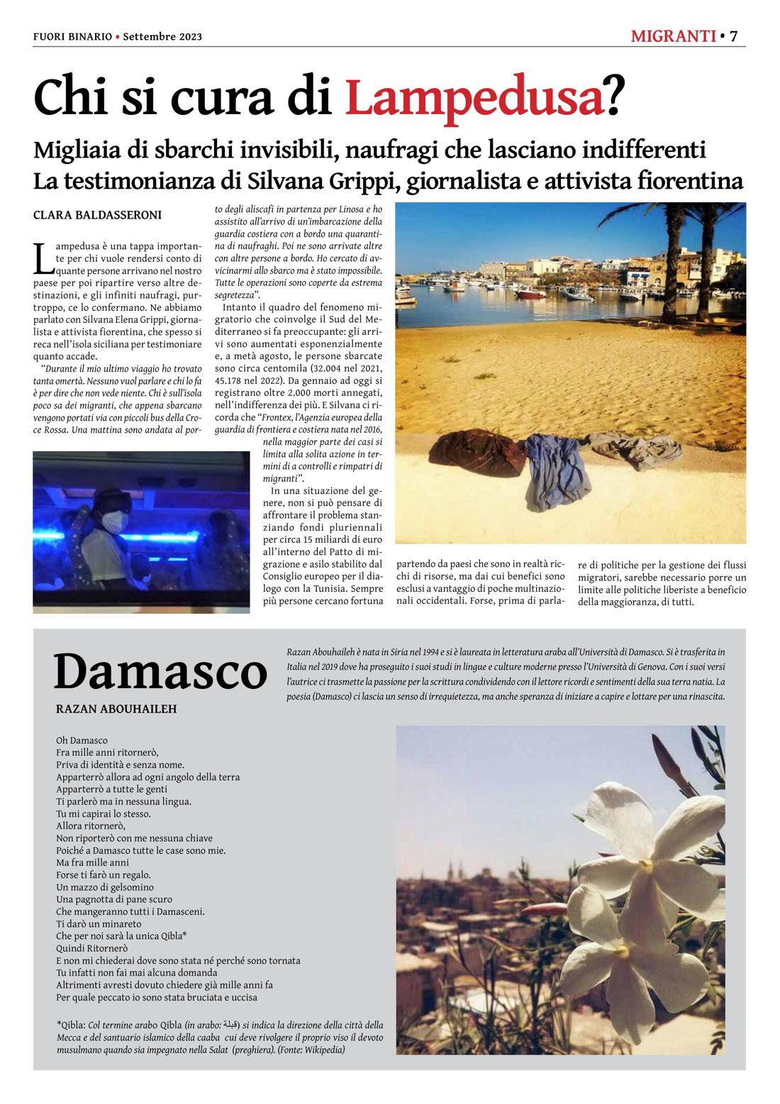 Pagina 7 del numero 254