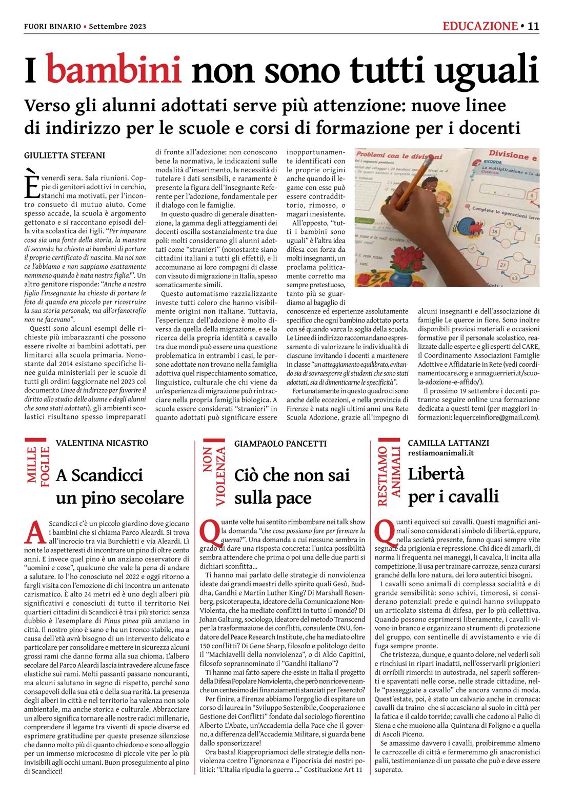 Pagina 11 del numero 254