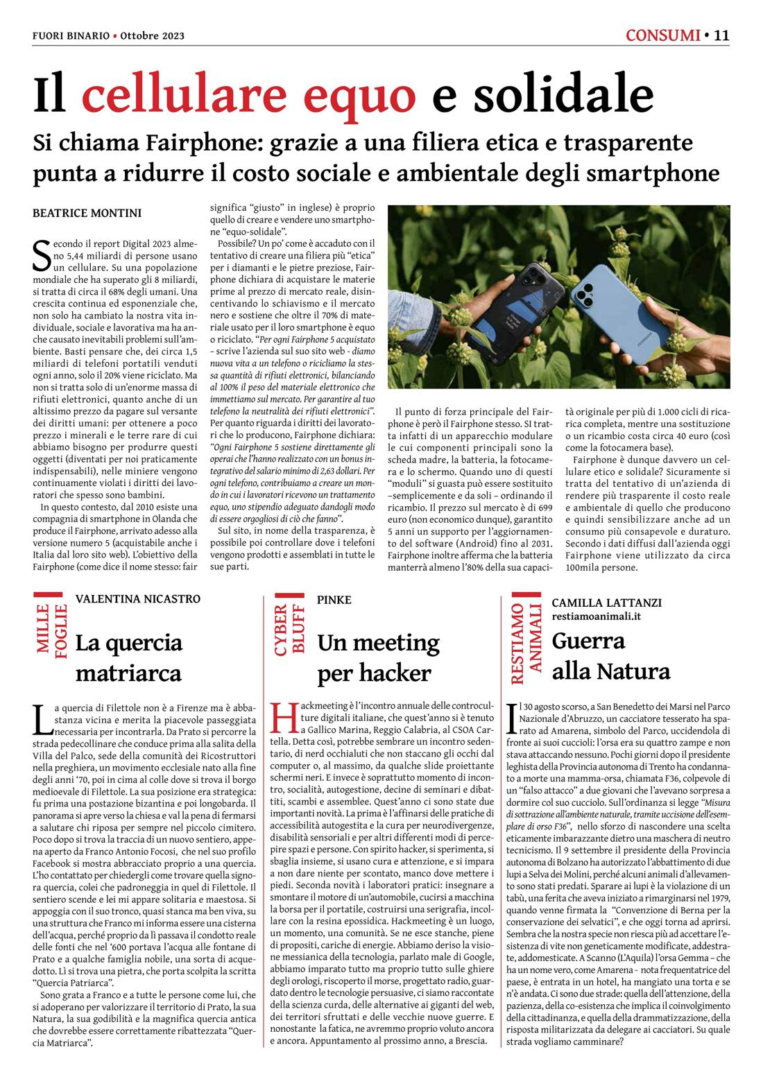 Pagina 11 del numero 255