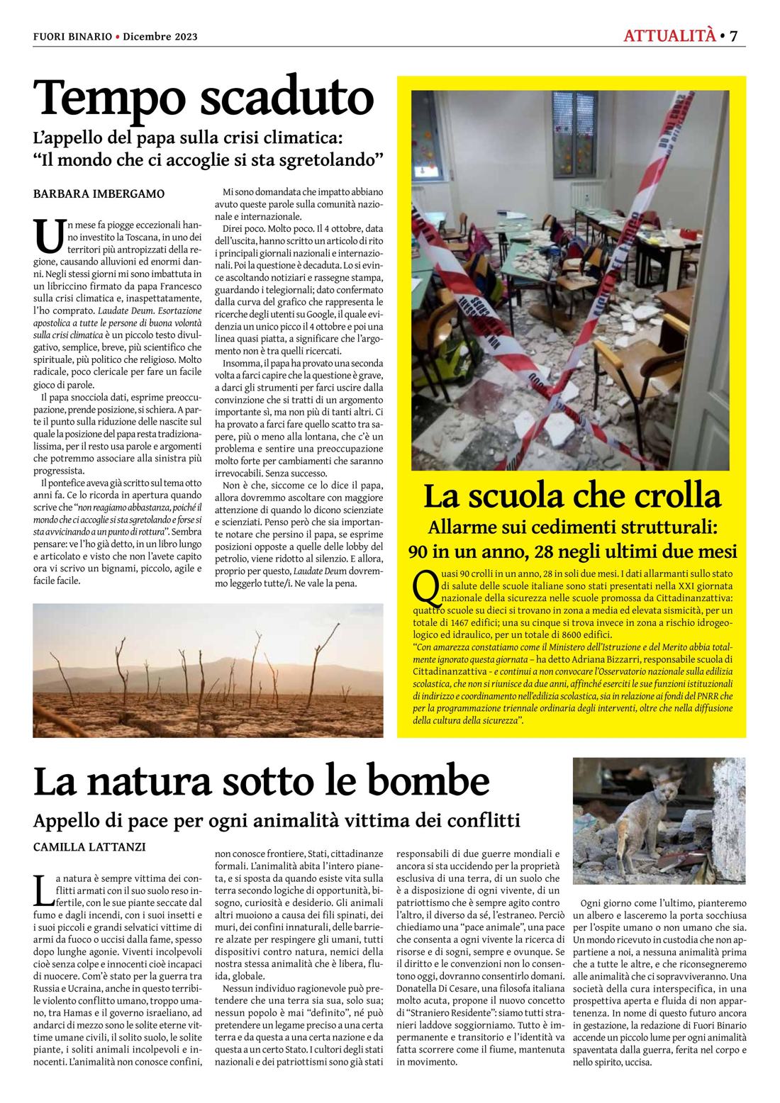Pagina 7 del numero 257