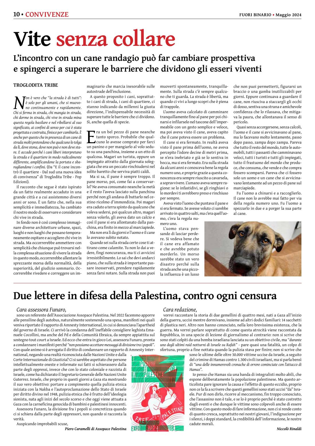 Pagina 10 del numero 262