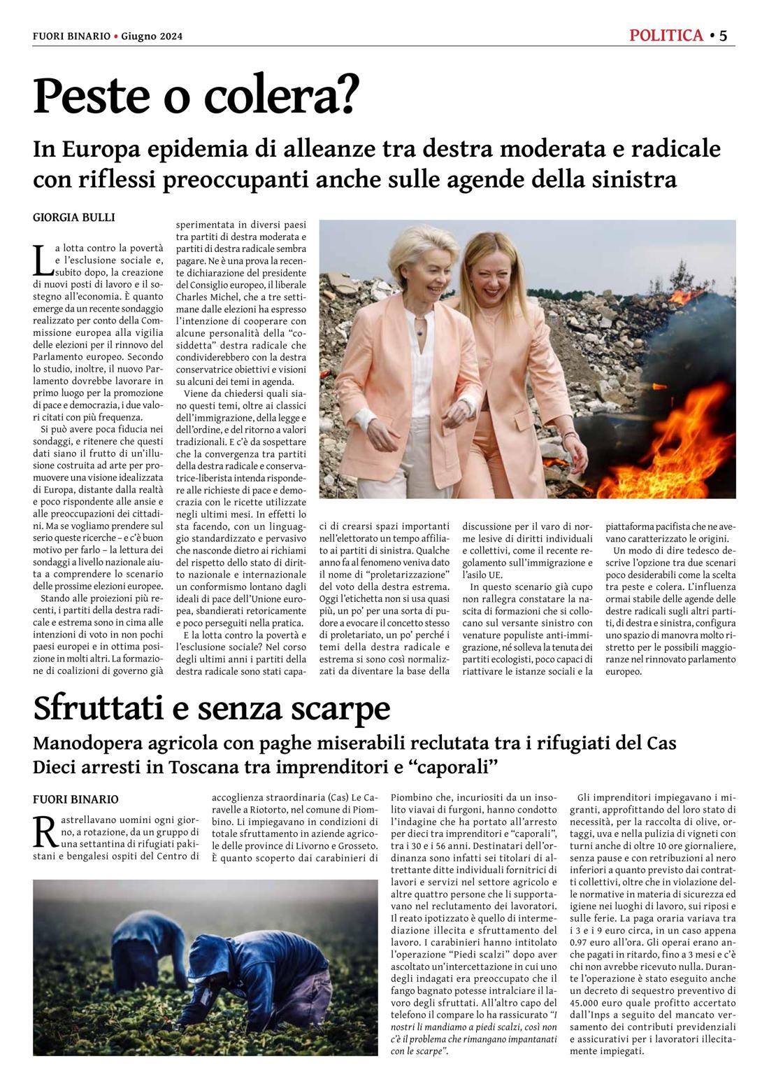 Pagina 5 del numero 263