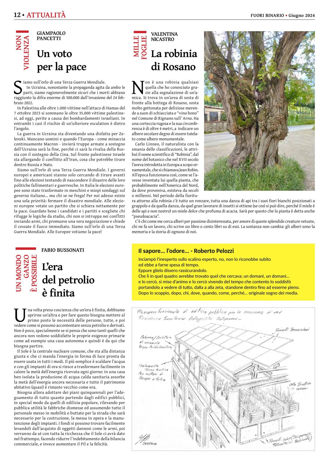 Pagina 12 del numero 263