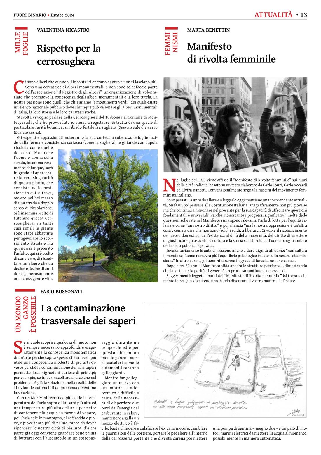 Pagina 13 del numero 264