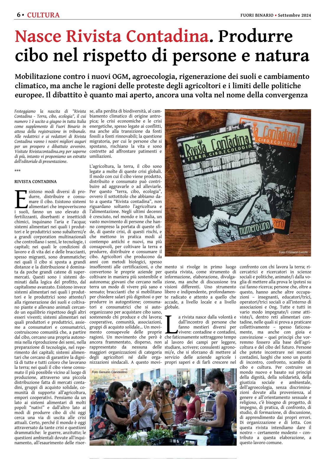 Pagina 6 del numero 265