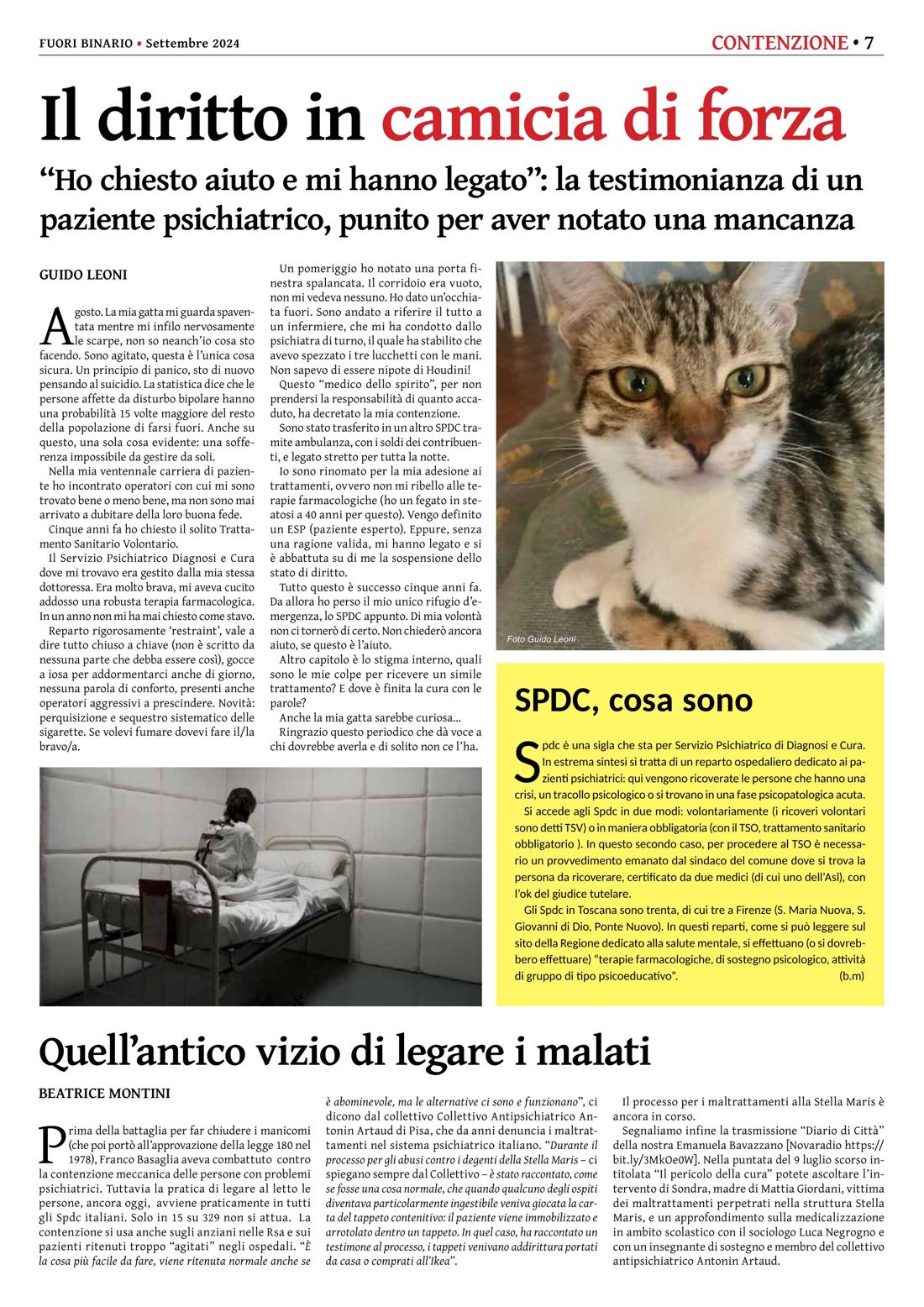 Pagina 7 del numero 265