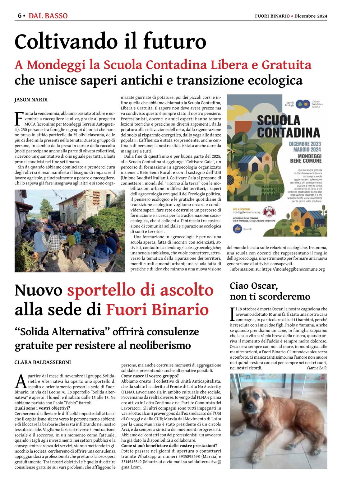 Pagina 6 del numero 268