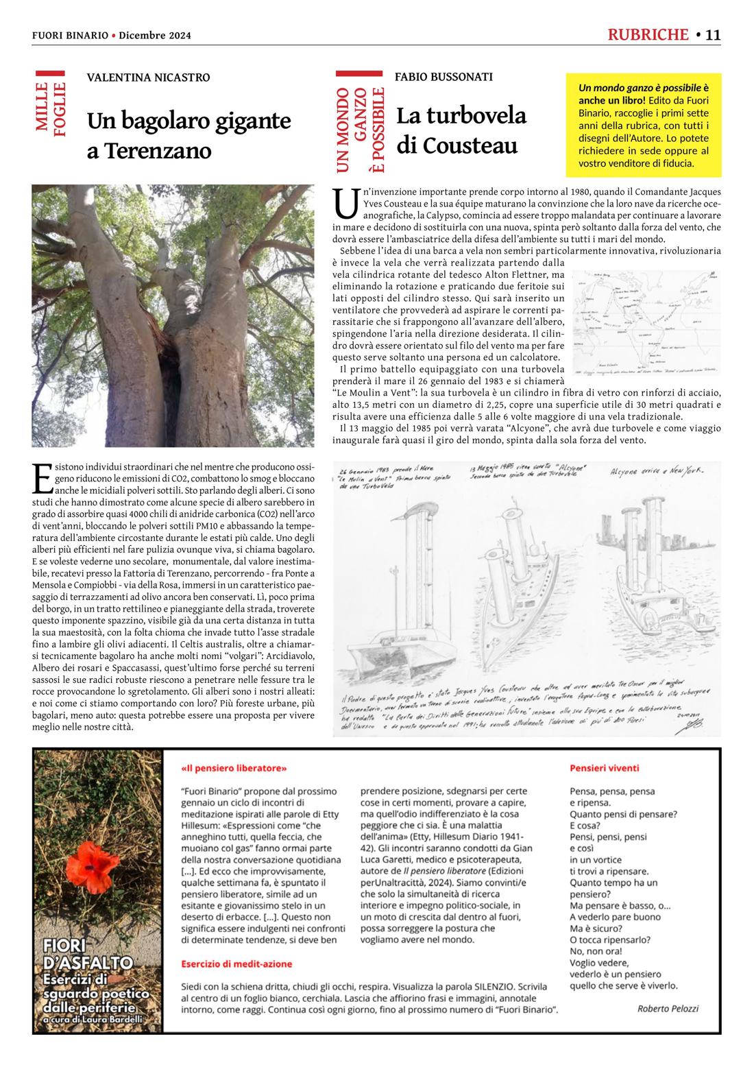 Pagina 11 del numero 268