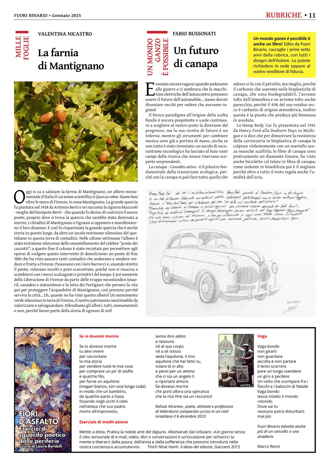 Pagina 11 del numero 269