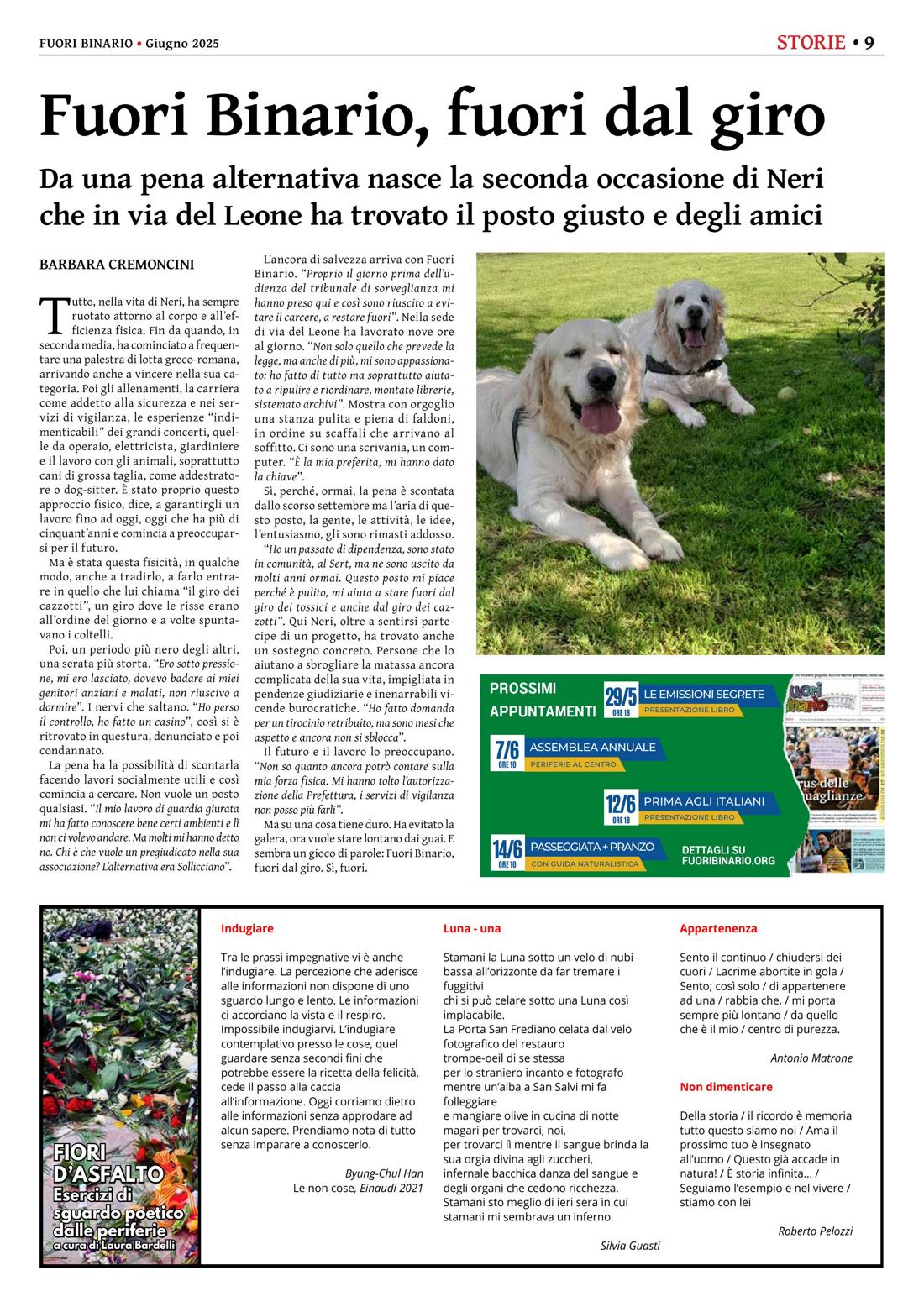 Pagina 9 del numero 274