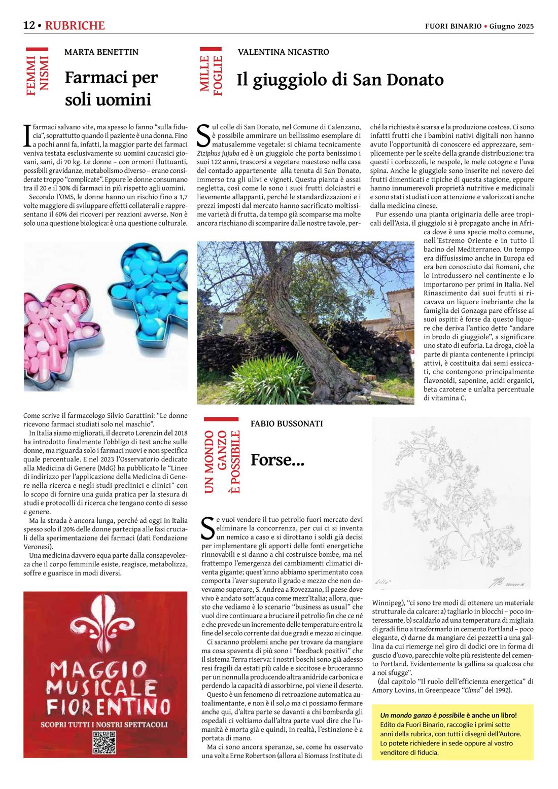 Pagina 12 del numero 274