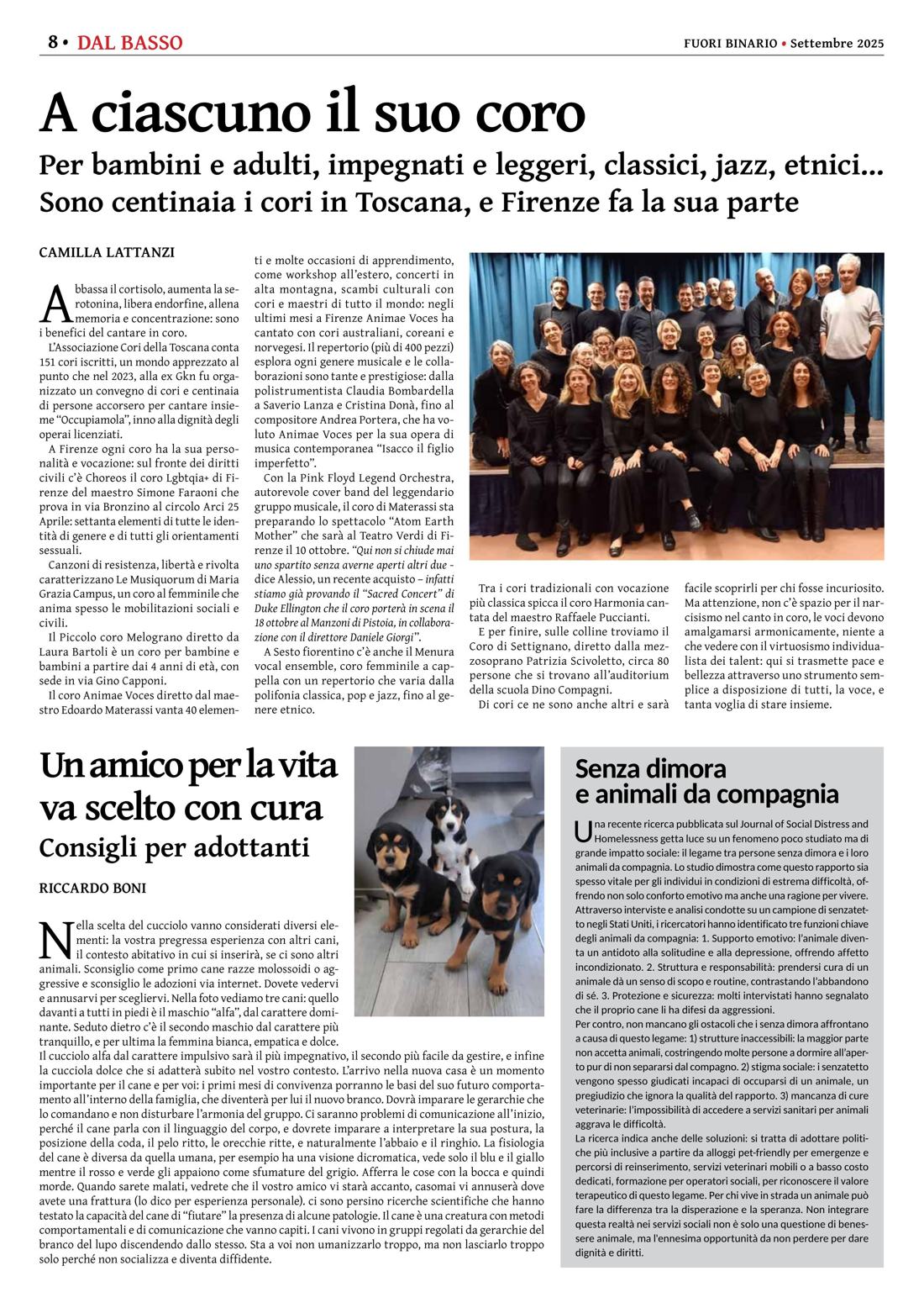 Pagina 8 del numero 276