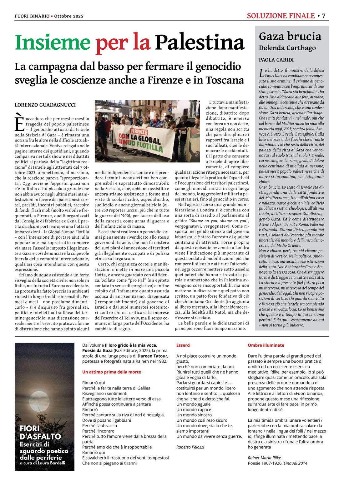 Pagina 7 del numero 277