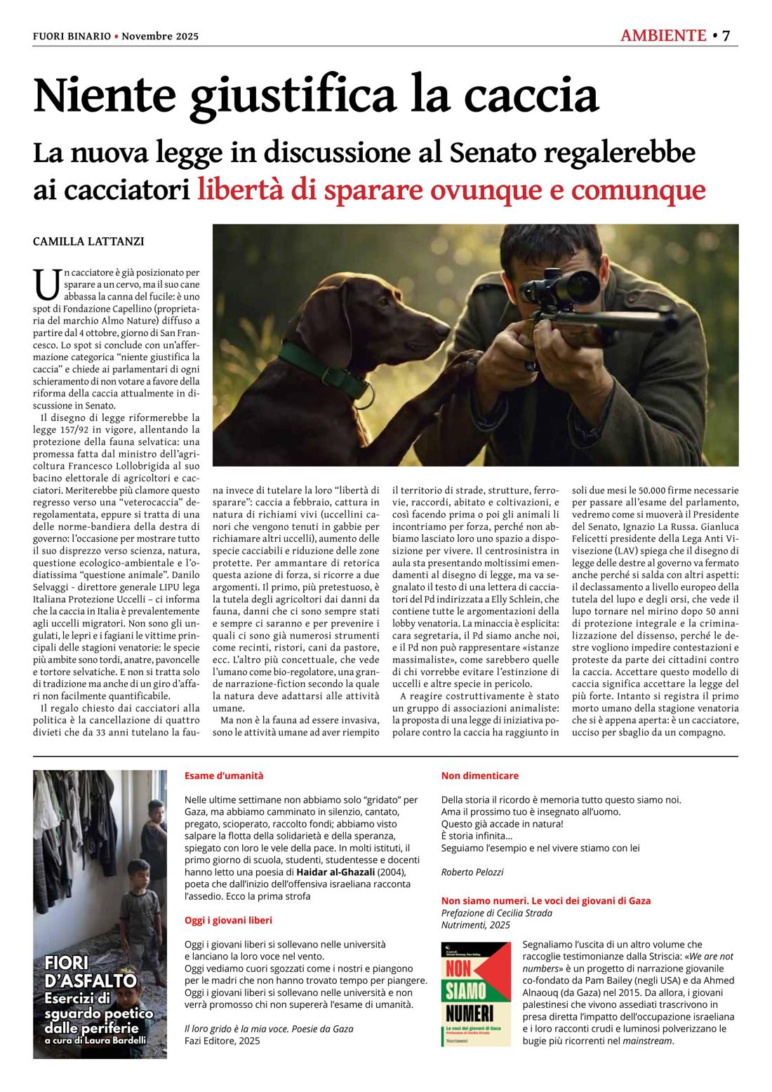 Pagina 7 del numero 278