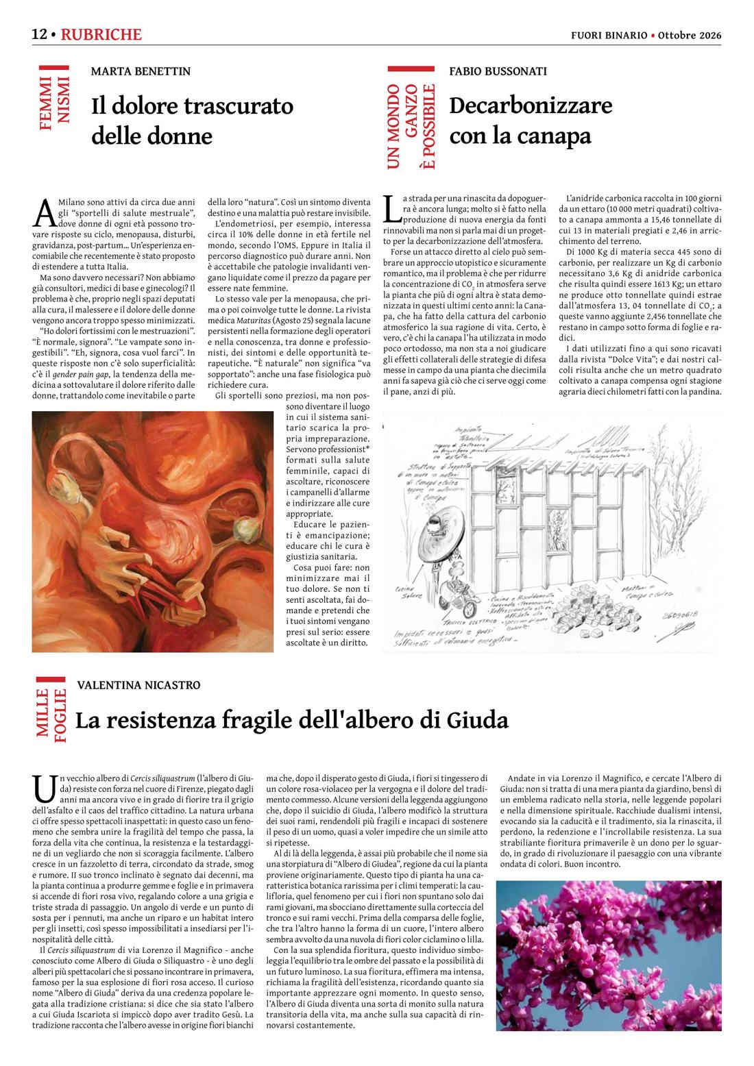 Pagina 12 del numero 288